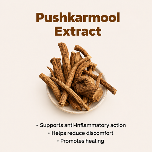 Pushkarmool Extract