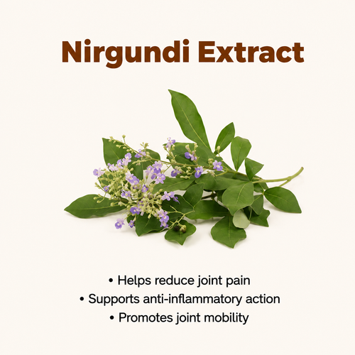 Nirgundi Extract