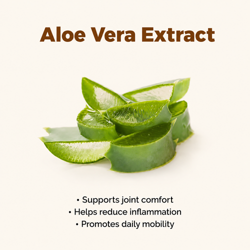 Aloe Vera Extract