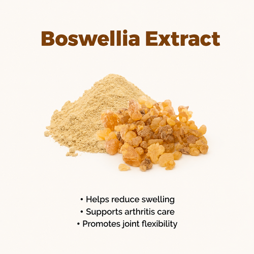 Boswellia Extract