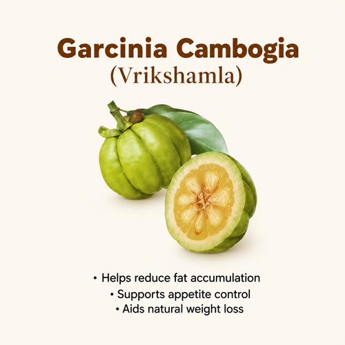 Garcinia Cambogia