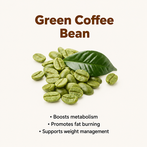 Green Coffee Bean
