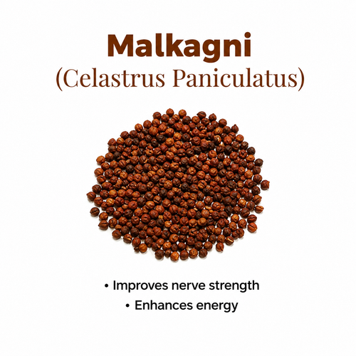 Malkagni