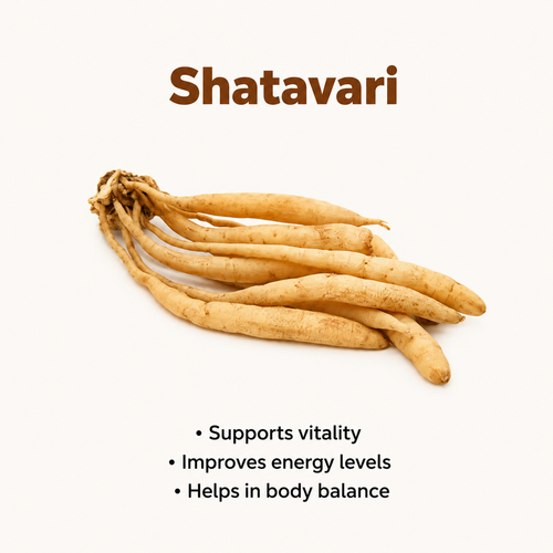 Shatavari