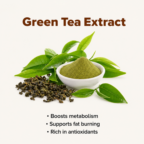 Green Tea Extract