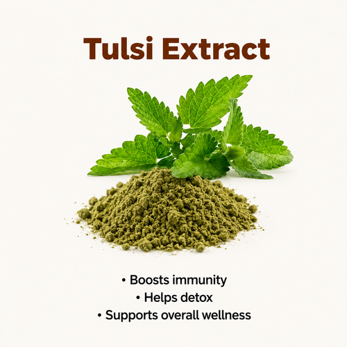 Tulsi Extract