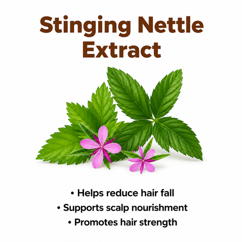 Stinging Nettle Extract