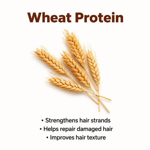 Wheat Protein