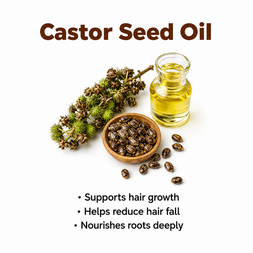 Castor Seed Oil